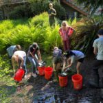 Meadowdale science teacher Dianne Thompson overseeing students releasing chum ‘babies’ into Shell Creek
