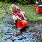 Sandra Centala releasing chum salmon on her Shell Creek property