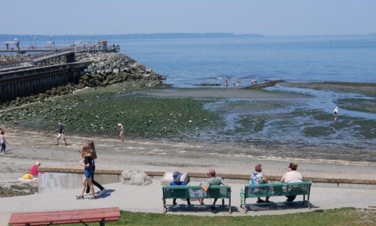 Edmonds Tide Scene in Edmonds: Low-tide Wednesday - My Edmonds News