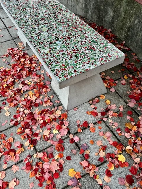 Scene in Edmonds: Falling for fall - My Edmonds News