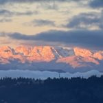 IMG_3536