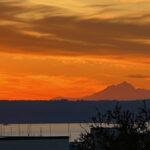 IMG_3653