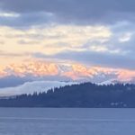 IMG_6786