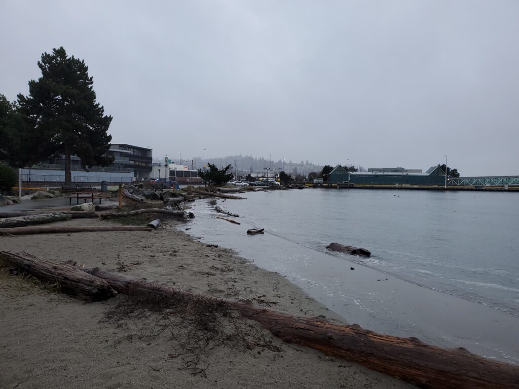 Edmonds Tide Scene in Edmonds: King tide - My Edmonds News