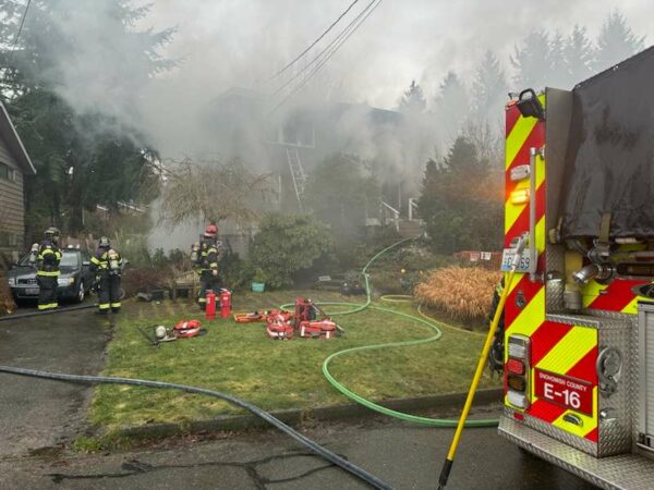 Two people displaced, six pets die in Meadowdale house fire Friday - My ...