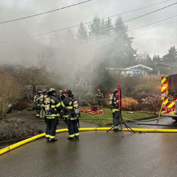 Two people displaced, six pets die in Meadowdale house fire Friday - My ...
