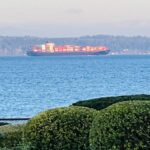 Trade policy, tariffs and more — Aug. 26 webinar explores what businesses need to know