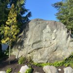 Edmonds Erratic 2