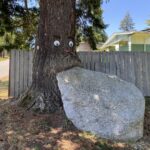 Esperance Rock Tree