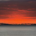 IMG_2215