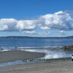 IMG_8745