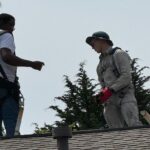 Solar guys 1 crop