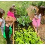 planting pics 25-6-7