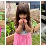 planting pics 45-46-47