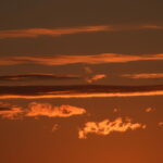 DSCN3942