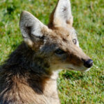 DSC_0682-NEF_DxO_DeepPRIME_edited
