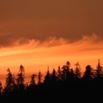 IMG_1252