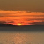 IMG_2847