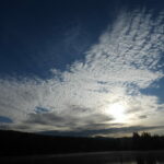 DSCN4575