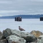 IMG_0308