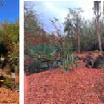 Screenshot 2024-09-30 at 3.53.28 PM