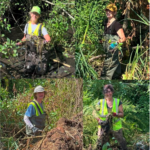 Screenshot 2024-09-30 at 3.54.10 PM