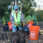 Oct Tree Planting_03