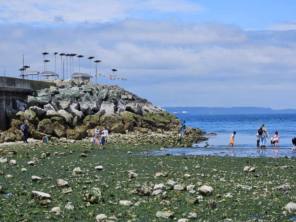 Edmonds Beach. low tide.6.13.25 My Edmonds News