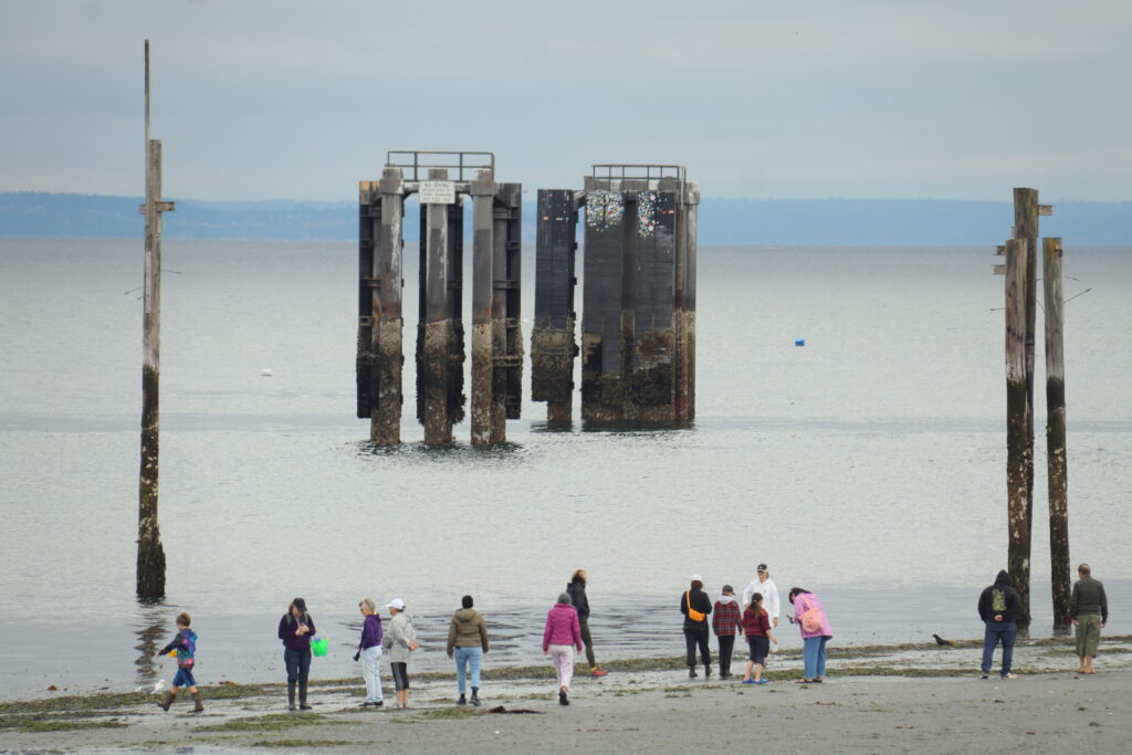 Visitors explore Edmonds waterfront during the lowest tide of the year