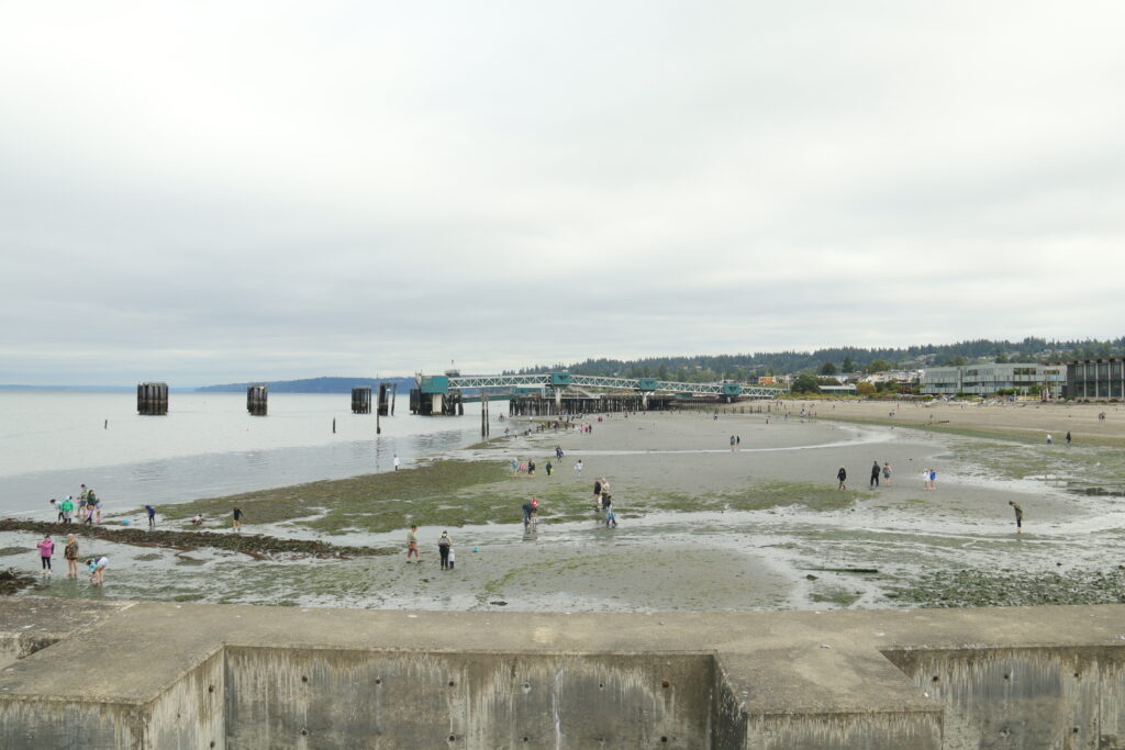 Visitors explore Edmonds waterfront during the lowest tide of the year
