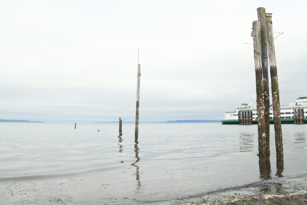 Visitors explore Edmonds waterfront during the lowest tide of the year