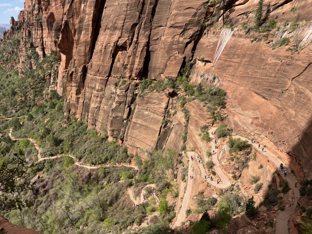 再値下げ！WILD ROCKY Bryce Mesh Tarp M-4425 New 2025 Forest River