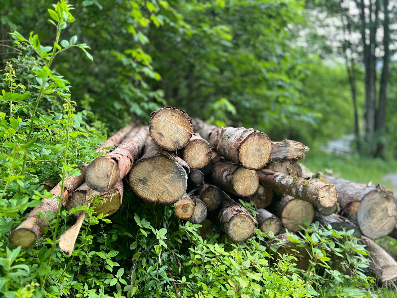 The Jacksonian | Spring 2023 Edition by Jackson State University - Issuu, image size:1280x960