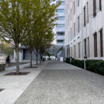 County Council to hold public hearing for policies concerning homelessness, addiction