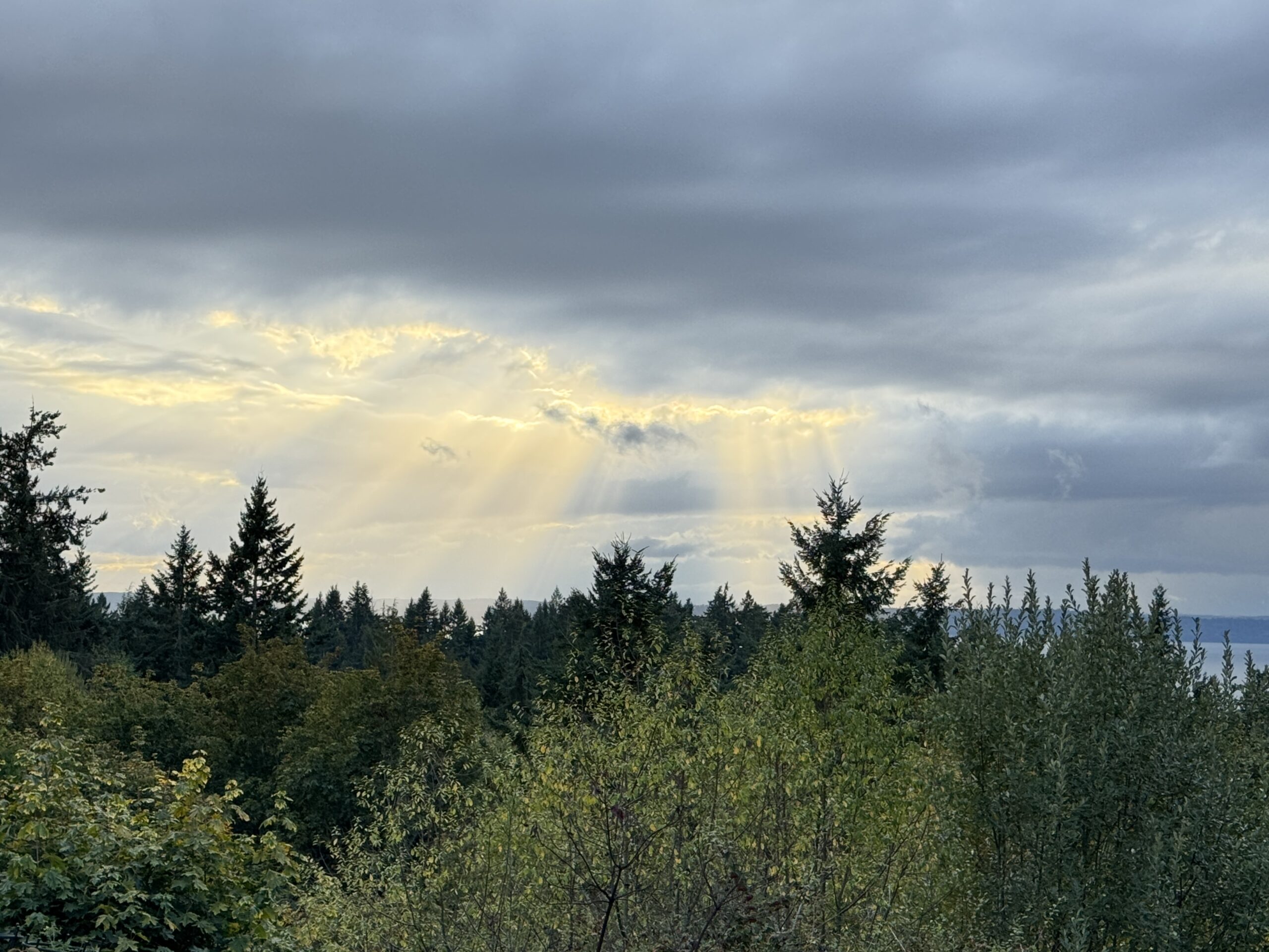 Scene in Edmonds: Around town Sunday - My Edmonds News