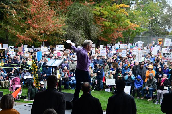 Thousands pack City Park for Edmonds 'No Kings' rally My Edmonds