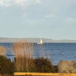 Scene in Edmonds: Around town Friday