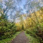 County Councilmember Nehring and community partners to host Meadowdale Beach cleanup July 9