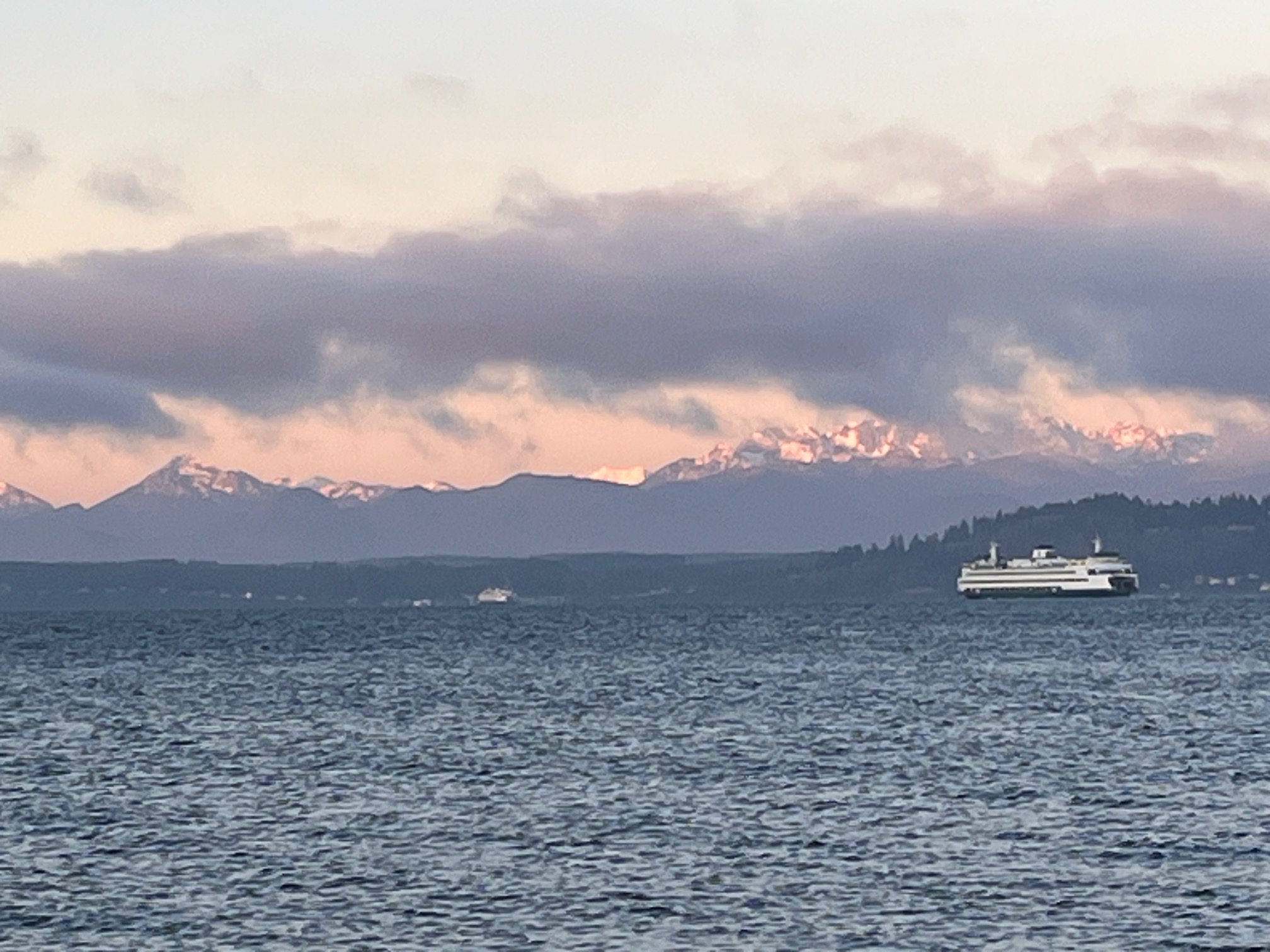 Seen in Edmonds: Around town Friday - My Edmonds News