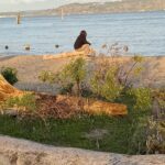 Scene in Edmonds: Around town