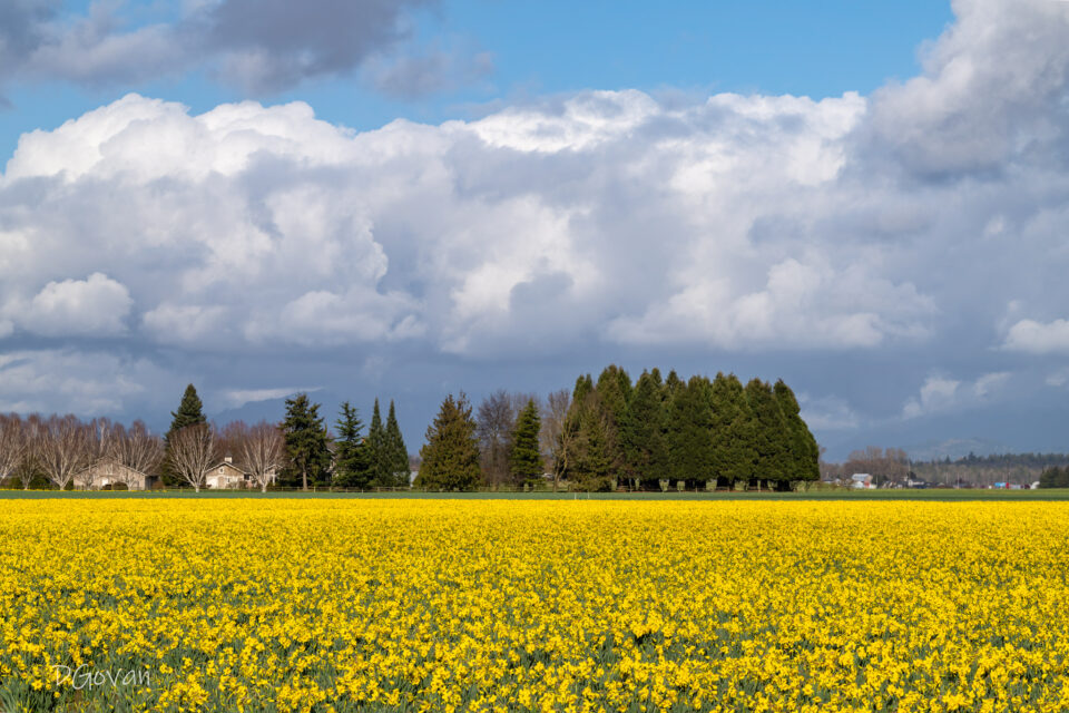 Scene nearby: A sure sign of spring