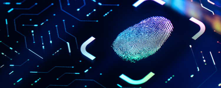 Sponsor spotlight: Tips to protect your tax information