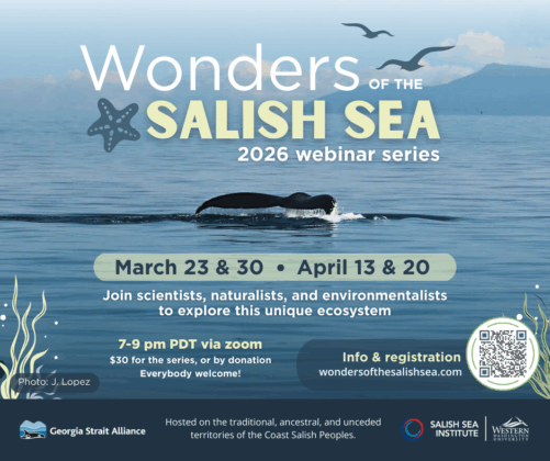 Poet's Corner: Why War, Wilting Flowers, Music Carried the Message ...