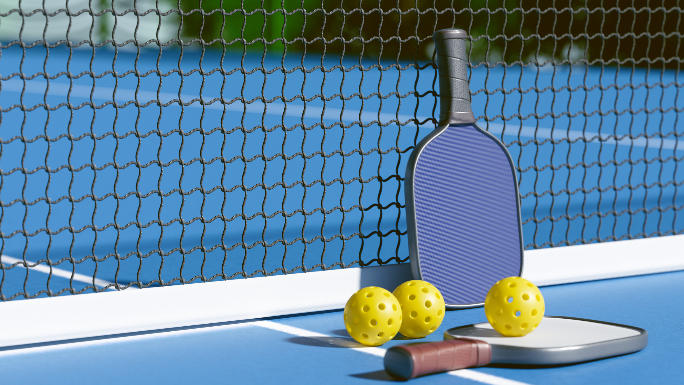 Mike Meeks Memorial Pickleball Tournament Sept. 12 to support student scholarships