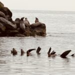 Scene in Edmonds: Around town Monday