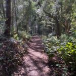 Remember Earth Day? It’s still needed, wanted and celebrated in Edmonds. Events set for April 19 and 26