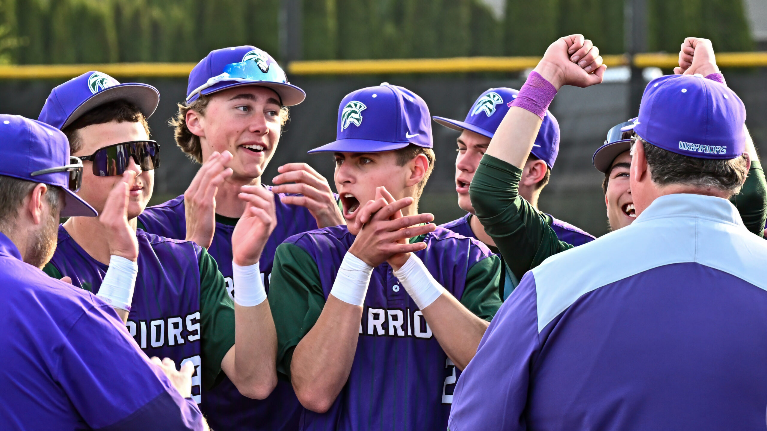 High school sports roundup: Warriors win Wesco South baseball title, Mavs celebrate new softball field