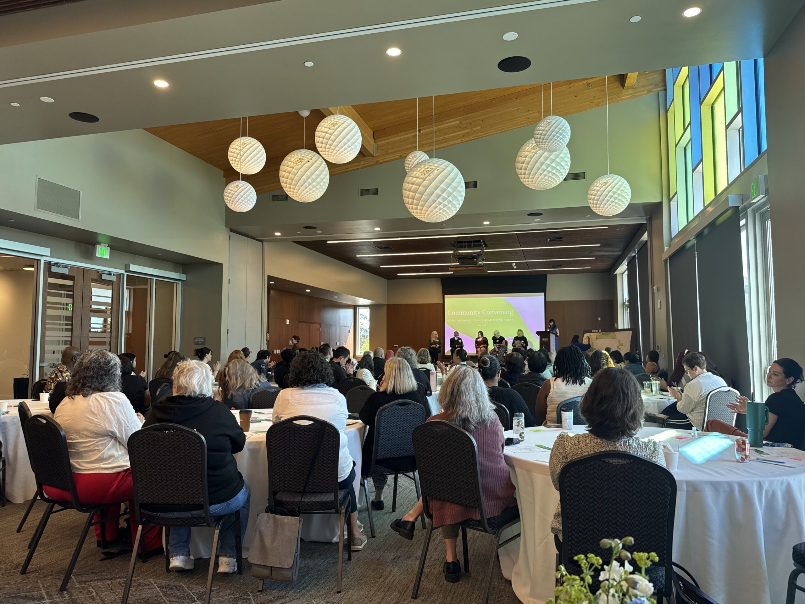 Resilience and hope: Verdant Health Commission summit addresses gaps in youth mental health care and paths forward