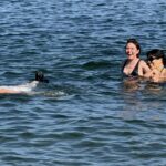 Scene in Edmonds: Around town