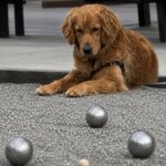 Scene in Edmonds: Around town